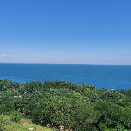 אודסה Arnautskaya Apartments מראה חיצוני תמונה